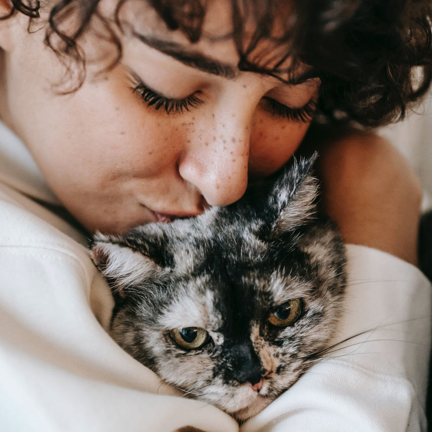 Assim como os humanos, os gatos têm suas manias