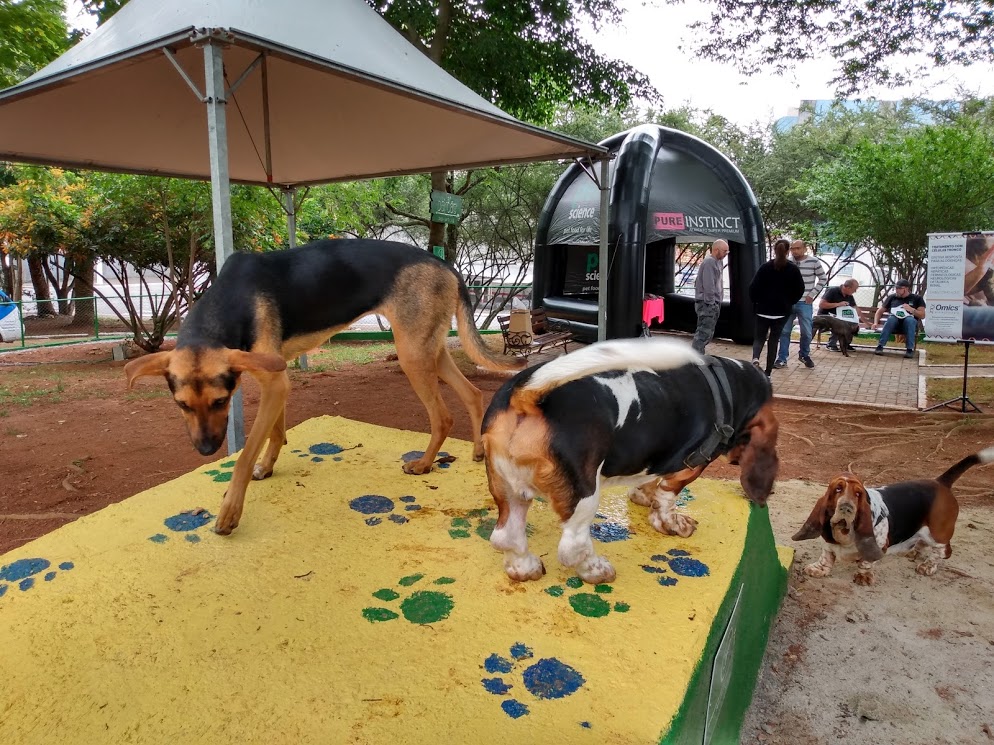 ParCão Jd. Santa Cruz, em São Paulo, é reinaugurado