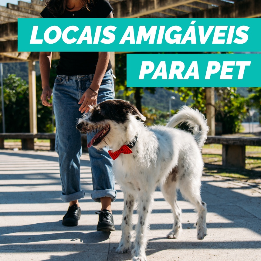 Conheça locais pet friendly no Rio de Janeiro para você frequentar com o seu cão 