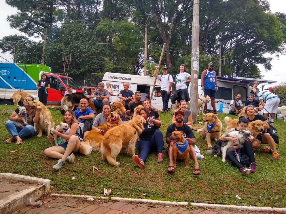 Novo Parcão em São Paulo    e Parada Pet no Rio