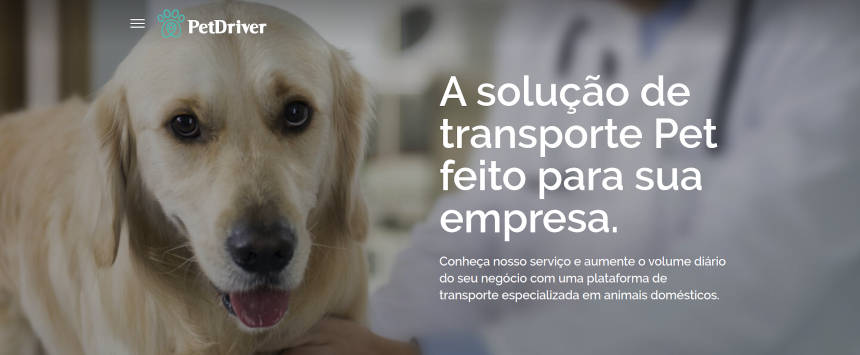 A solução de transporte Pet perfeita para sua empresa!