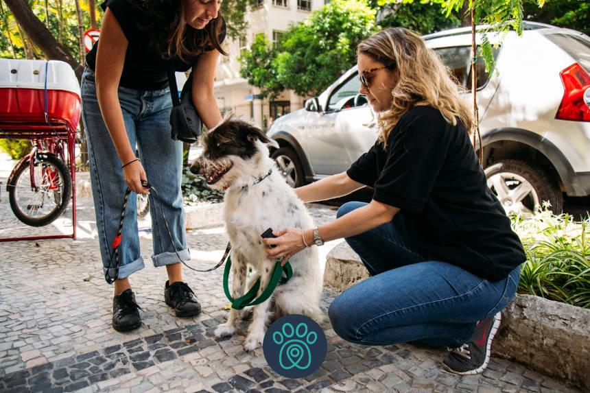 O que você deve levar em conta na hora de escolher um hotel para o seu pet