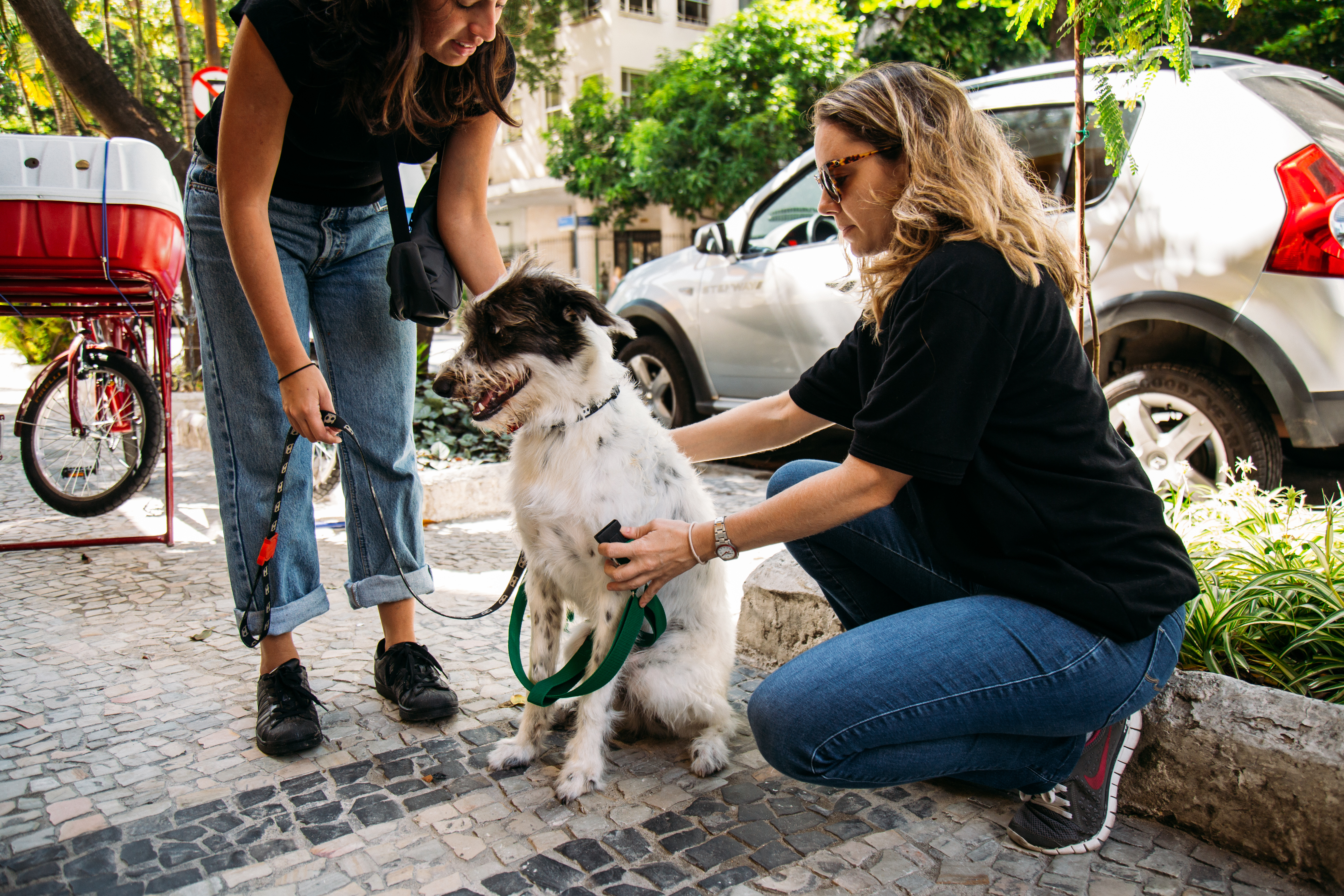 20% de desconto durante toda a semana do consumidor para o seu pet e você aproveitarem juntinhos