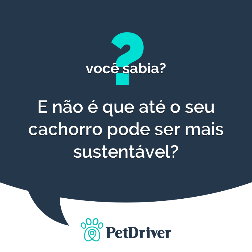 Veja como implementar hábitos sustentáveis na sua rotina com o seu pet