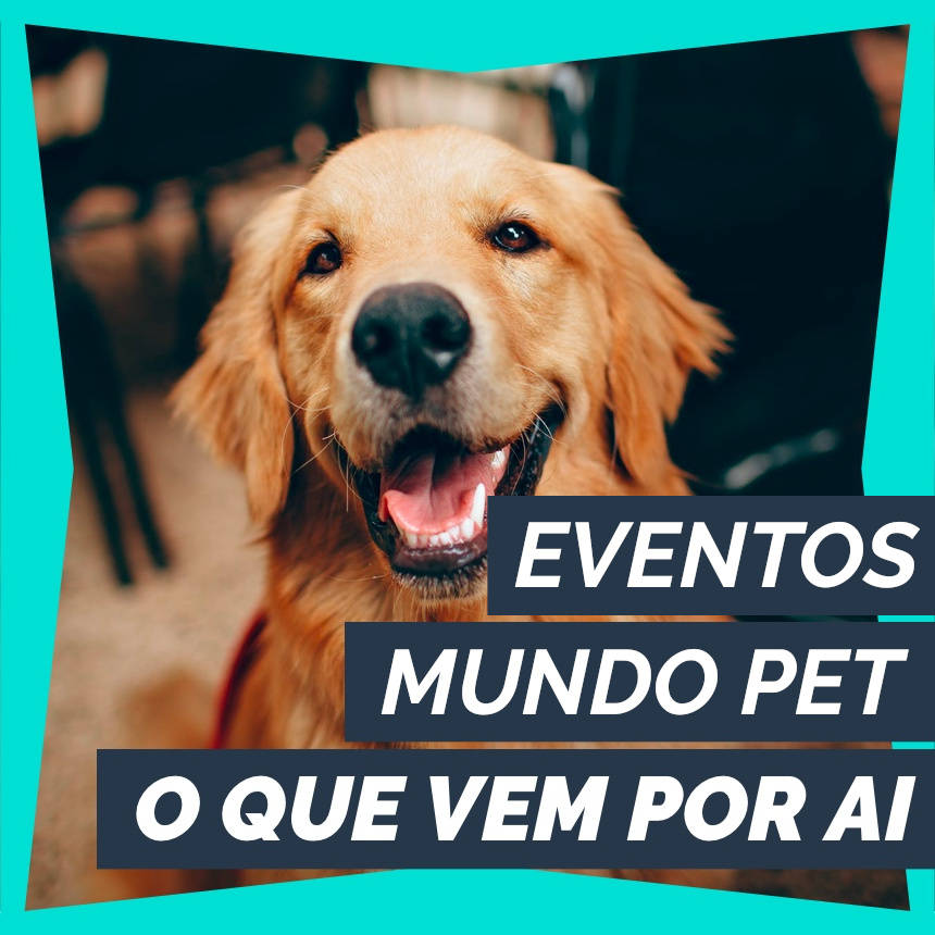 PetDriver junto de seus parceiros acaba de criar a agenda de eventos do mundo Pet