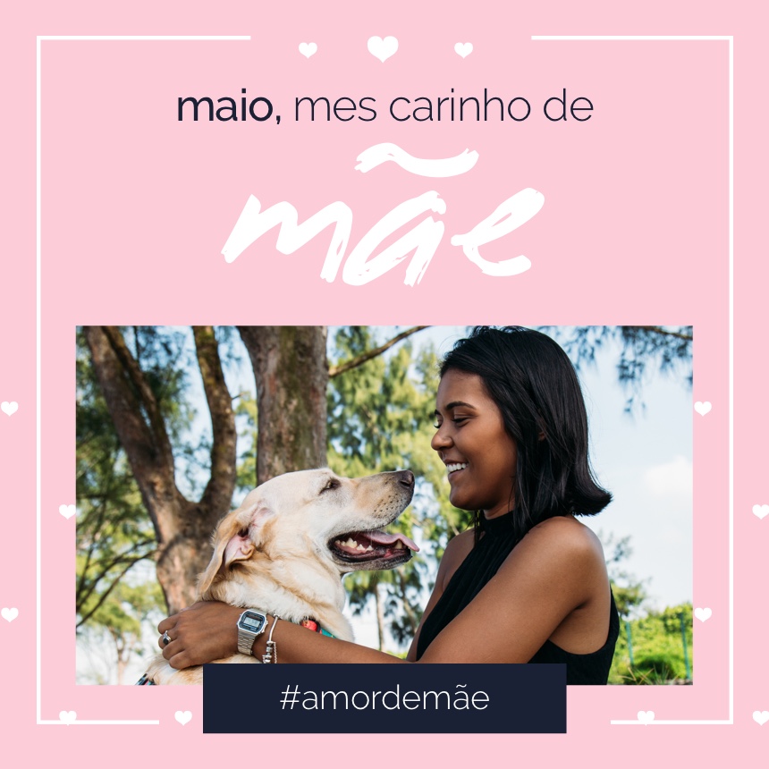 Cuidados com os pets: maio é o mês do carinho de mãe na PetDriver