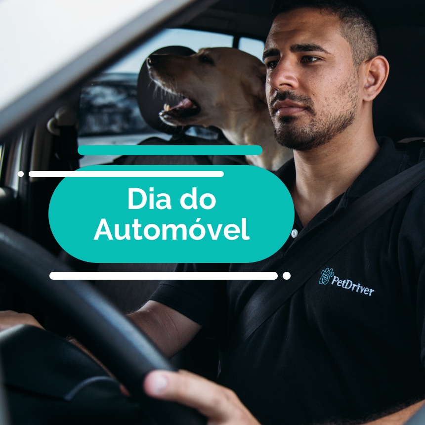 Mobilidade urbana e o transporte de animais domésticos
