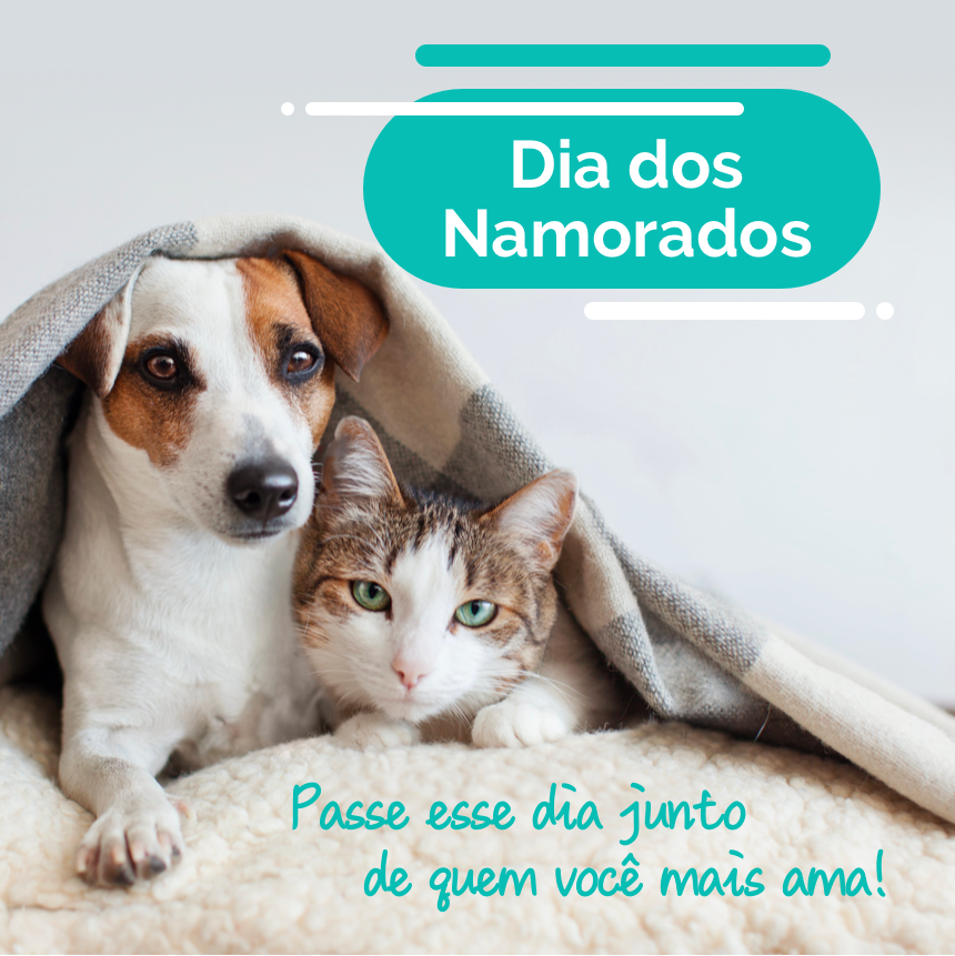 Pets usam sites e apps de relacionamento para encontrar “cara metade”
