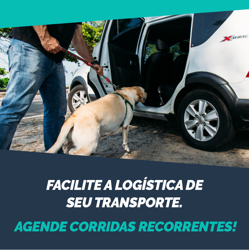 A solução corporativa da PetDriver vem ajudando  estabelecimentos pet na sua agenda de corridas
