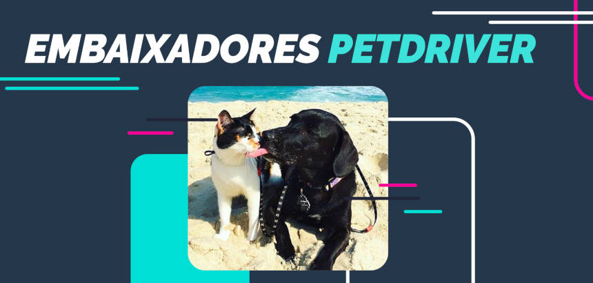 Conheça o novo time de peso de embaixadores PetDriver