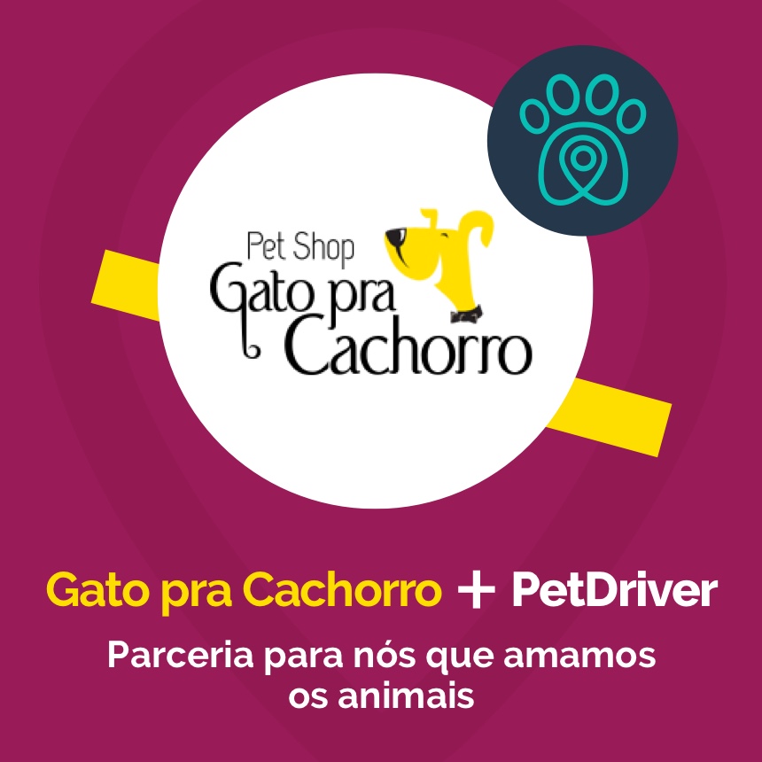 Gato pra Cachorro e PetDriver formam parceria por amor aos animais