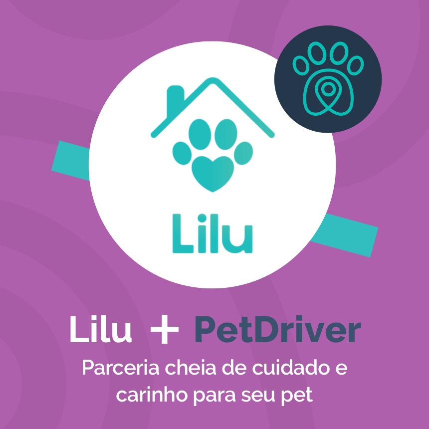 Lilu.pet e PetDriver formam parceria que leva cuidado e carinho para o seu pet 