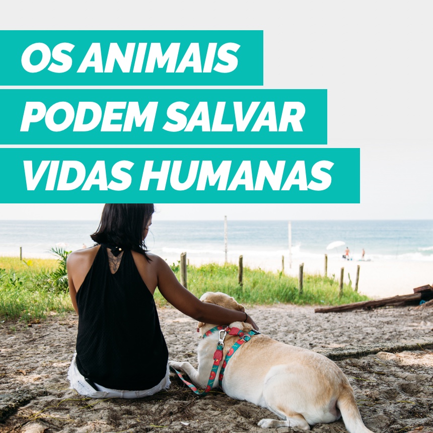 Entenda como o conhecimento sobre a saúde dos animais pode salvar vidas humanas