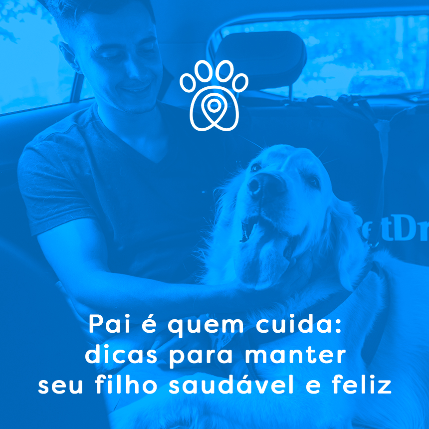 Mês dos pais e os cuidados dedicados aos filhos de 4 patas