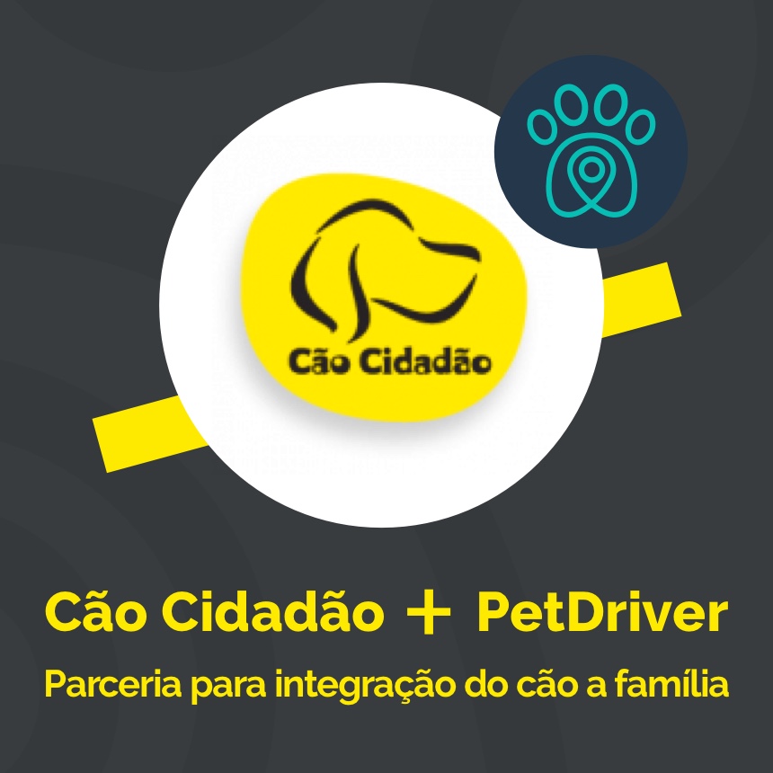 Cão Cidadão e PetDriver formam parceria para melhorar a interação dos peludos na sociedade