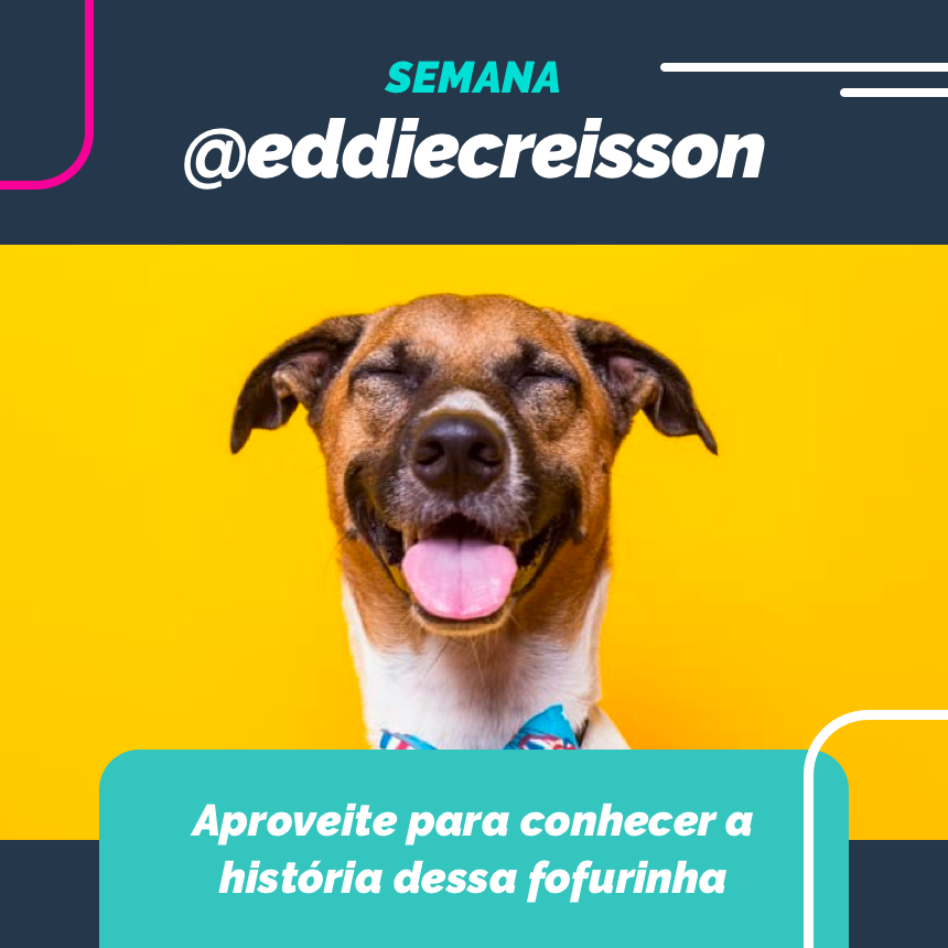 Nessa semana vamos à caça das meias perdidas juntos com @eddiecreisson!