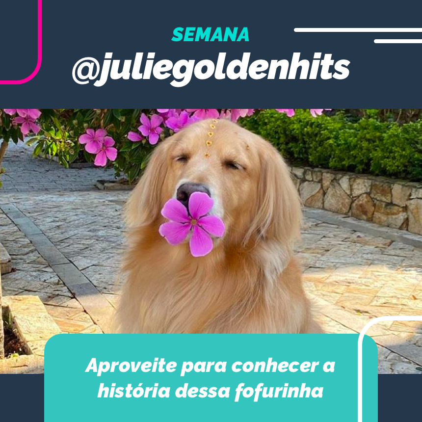Nessa semana vamos juntos com a nossa mais alegre embaixatriz @juliegoldenhits! !