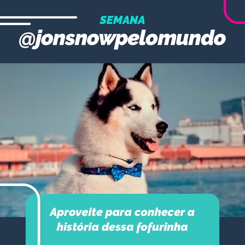Nessa semana @jonsnowpelomundo com seus olhinhos claros e a pose de badcão vão derreter seu coração!