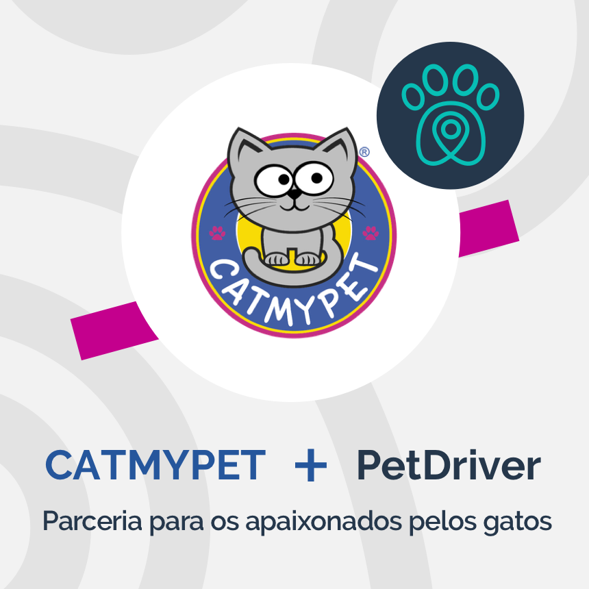 CatMyPet e PetDriver formam parceria que vai conquistar os apaixonados por gatos