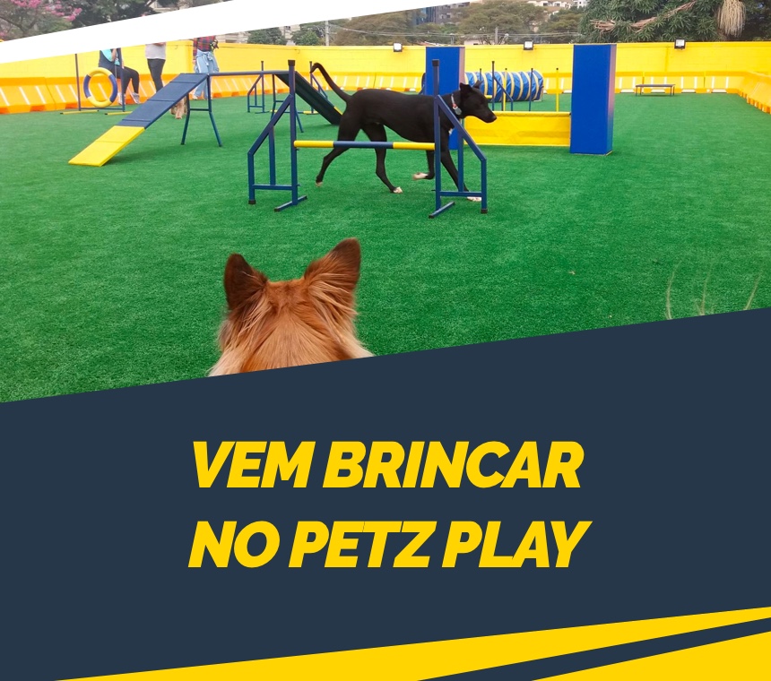 Vem brincar no Petz Play! Vá ao espaço seguro e preparado para seu pet e você!
