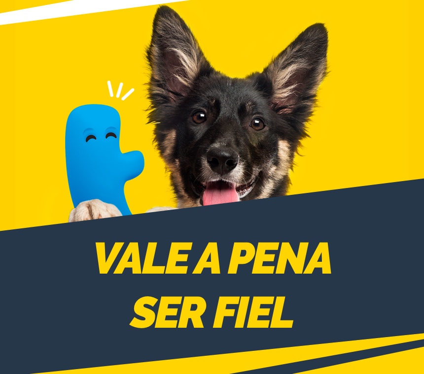 Parceria fiel vale a pena! Petz e PetDriver juntos do seu pet e você!