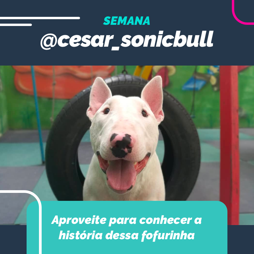 Nessa semana vamos juntos com o nosso exímio embaixador @cesar_sonicbull!!