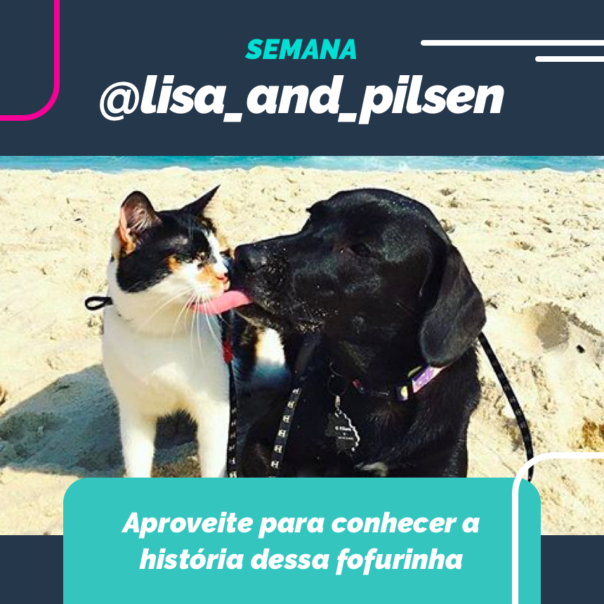 Nessa semana vamos juntos na Good Vibes com essa duplinha fofa @Lisa_and_Pilsen!! S2