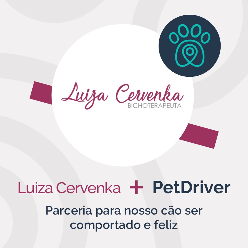 Luiza Cervenka e PetDriver mantém parceria para pets mais comportados e felizes