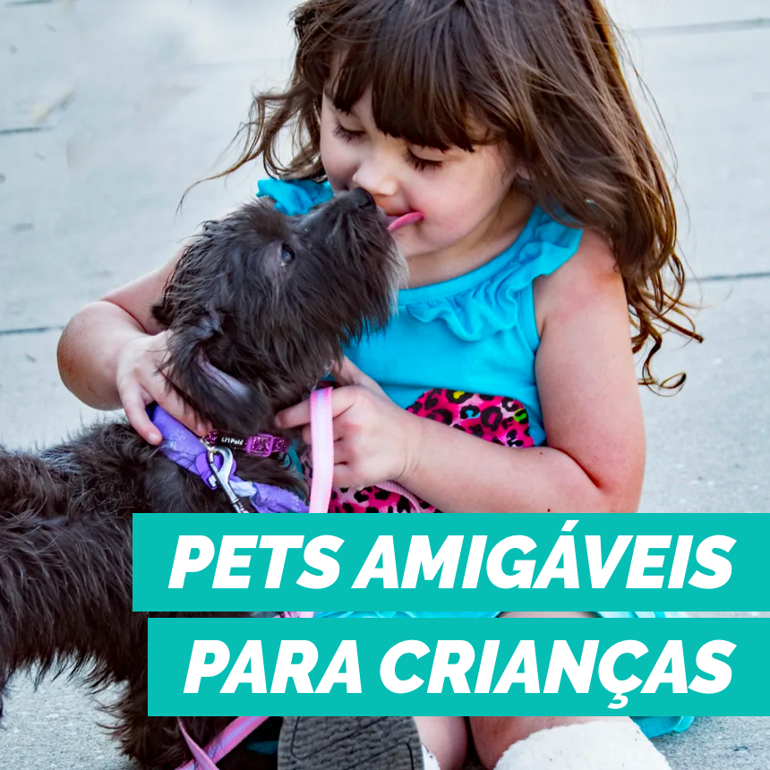 Os pets mais amigáveis para quem tem criança em casa