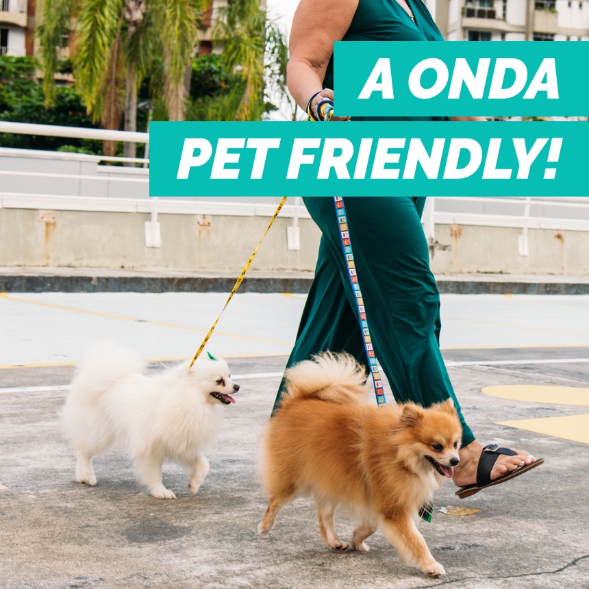 Ambientes pet friendly são oportunidades de negócios