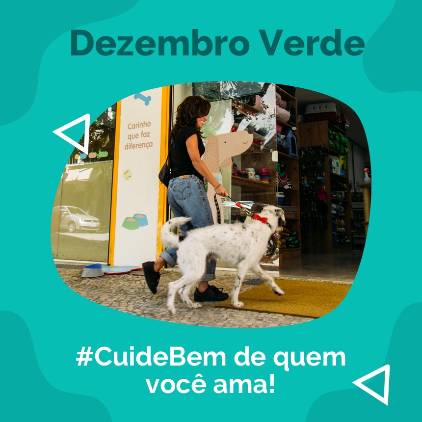 Dezembro Verde: diga não ao abandono de animais