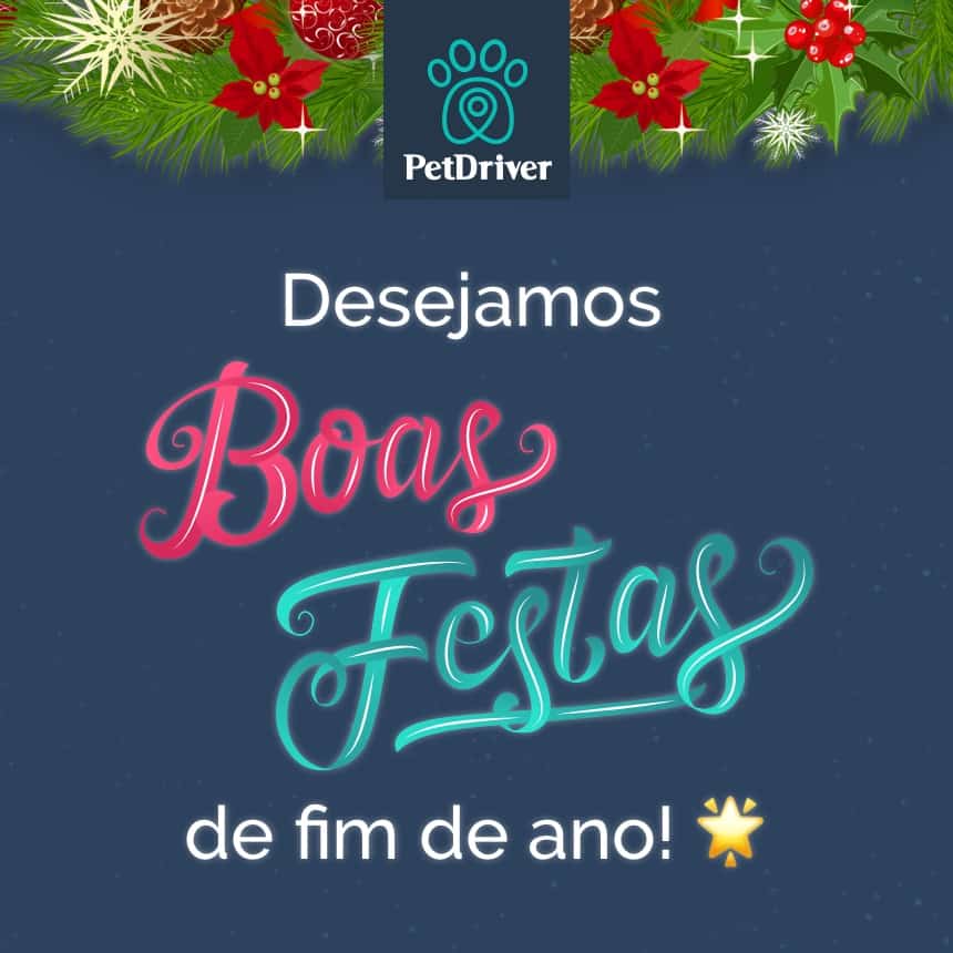 Boas Festas de fim de ano!