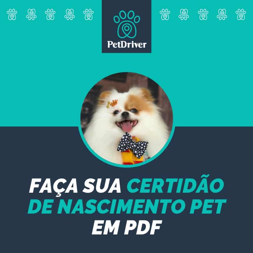 Certidão de Nascimento Pet : registre o seu animal de estimação