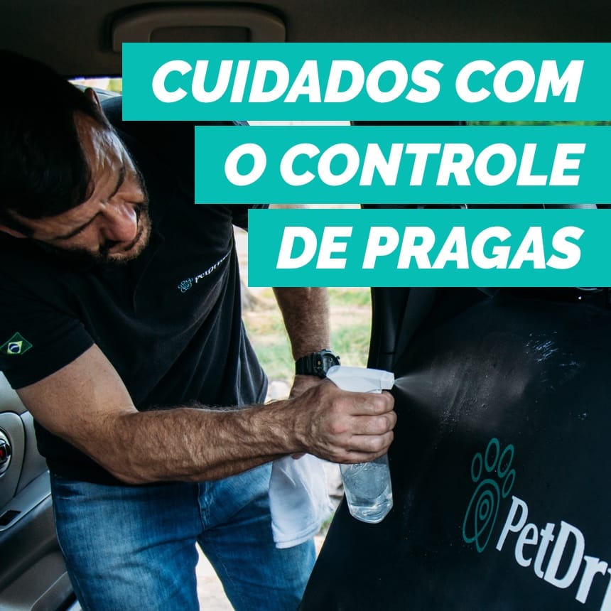 Como proteger seu pet contra carrapatos e pulgas