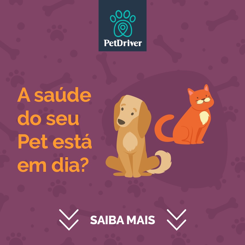 Descubra se a saúde do seu pet está em dia! 