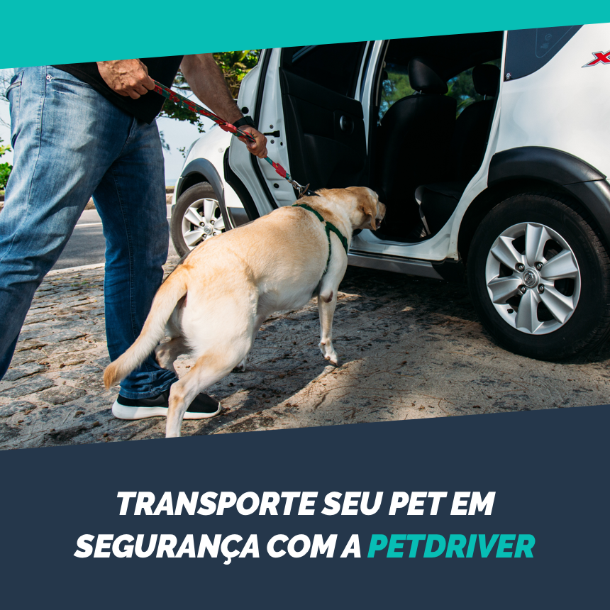 Transporte seu pet em segurança com a PetDriver