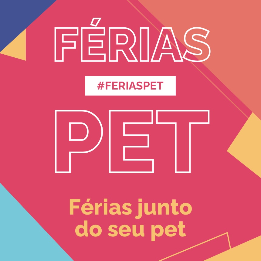 Férias Pet: dicas de cuidados e entretenimento com o seu filho de 4 patas em janeiro