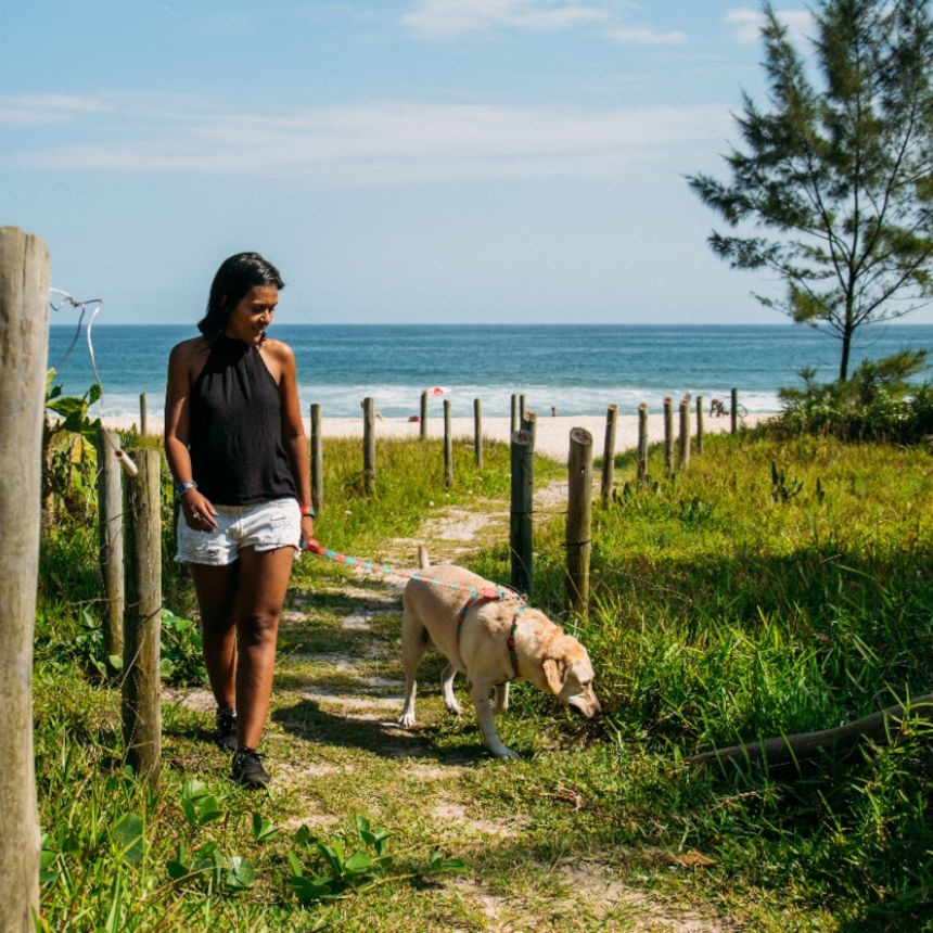Não é saudável dar banho todos os dias no cachorro