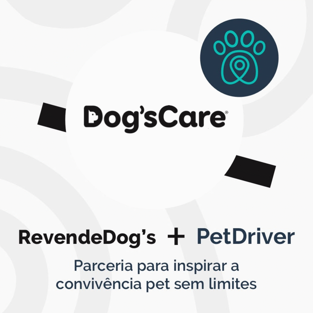 A PetDriver e a Dog’s Care vão presentear o seu cão. Solicite sua viagem!