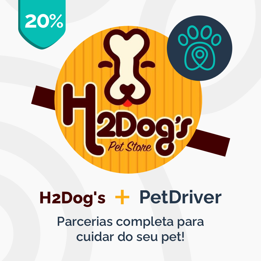 H2Dog’s e PetDriver: parceria completa para cuidar do seu pet