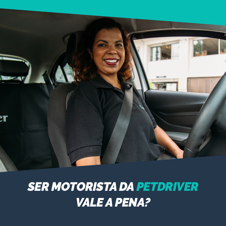 Vale a pena ser motorista da PetDriver e trabalhar com transporte de pets?