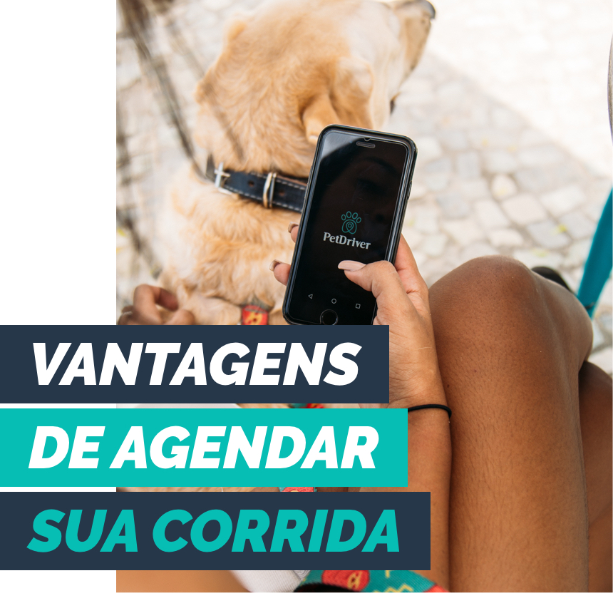 Conheça as vantagens de agendar a sua corrida  na PetDriver e veja como é fácil