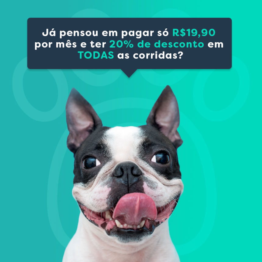 Tenha 20% de desconto em todas as corridas da PetDriver