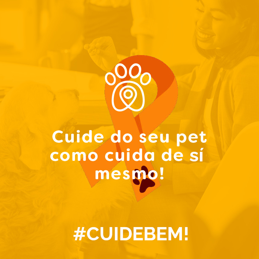 É lei: motoristas que atropelarem animais nas ruas do Rio de Janeiro terão que prestar socorro 