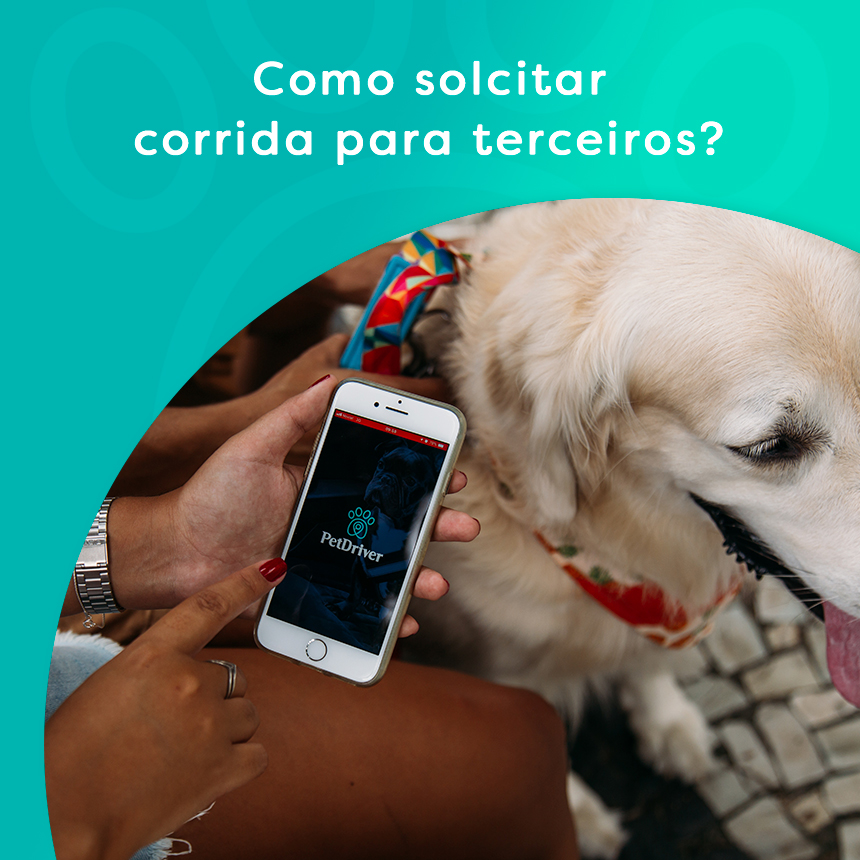Transporte pet: como solicitar corridas para terceiros no app da PetDriver? 