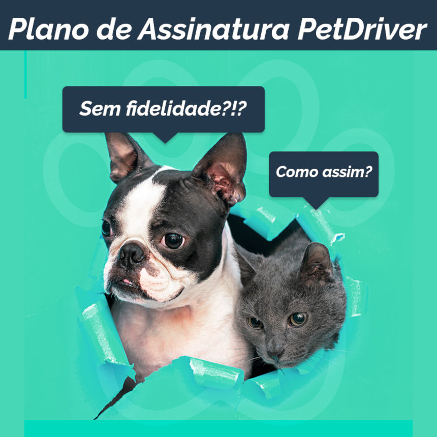 Plano de Assinatura PetDriver sem fidelidade!