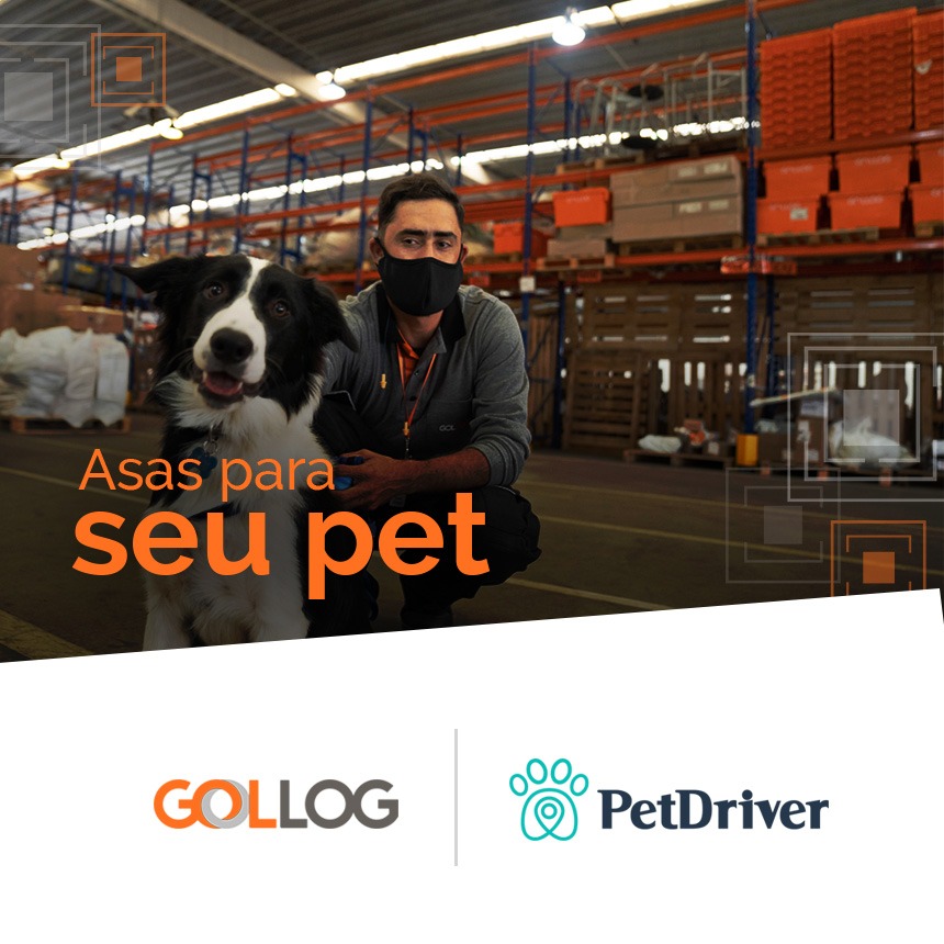 GOLLOG Animais &amp; PetDriver levarão o seu pet e você às alturas com até 40% de desconto