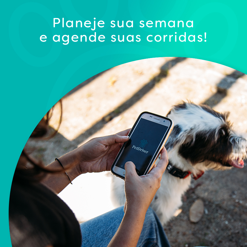 Compromissos regulares? Agende suas corridas com antecedência no app da PetDriver