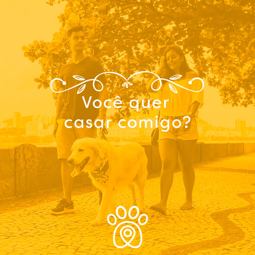 Já pensou se seu pet participasse do seu casamento?