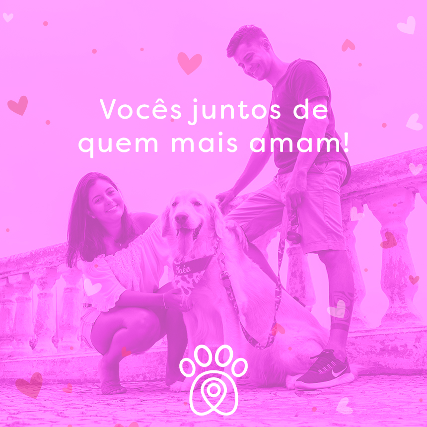 Dia dos Namorados: conheça locais pet friendly no RJ e em SP para ir com o seu amor e seu filho de 4 patas